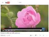 エリ子花前カレンのおススメYouTube動画『香水の町グラース（6:00）』画像♪
＠e-Flower Arrangement Institute イーフラワーアレンジ教室